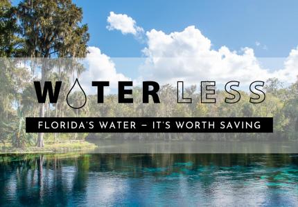 Florida's Water - It's Worth Saving