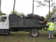 Friends and Family Gather Around for the Town Clean Up