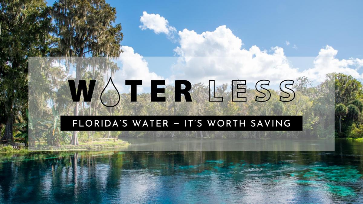 Florida's Water - It's Worth Saving